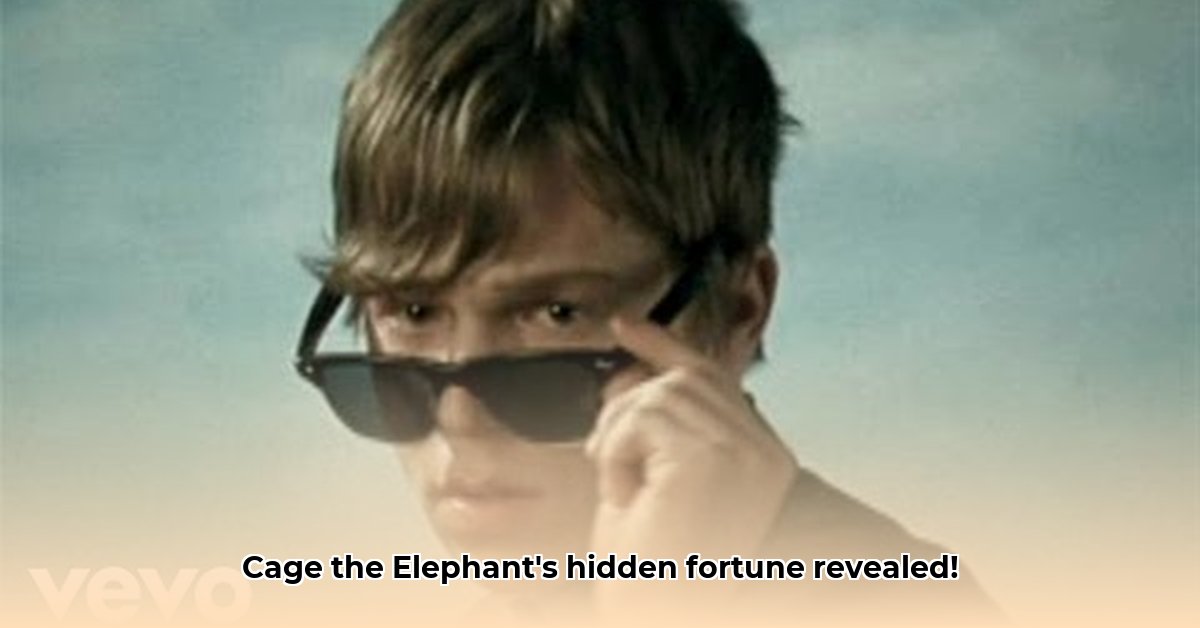 cage-the-elephant-net-worth